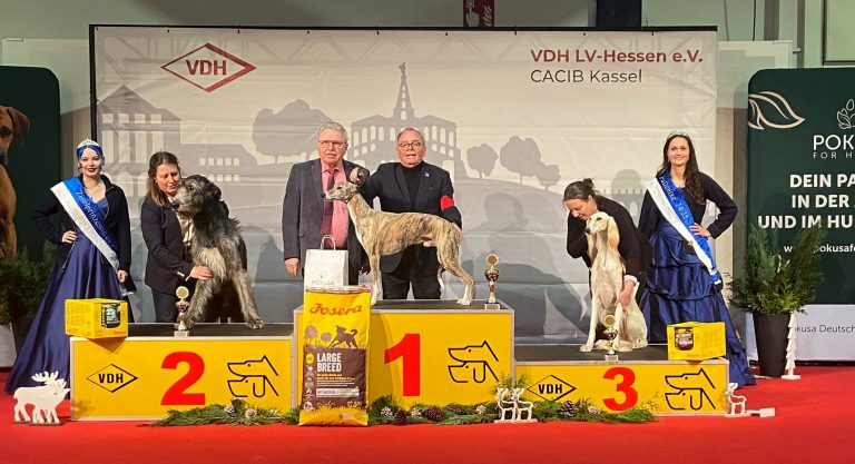 International Dogshow Kassel