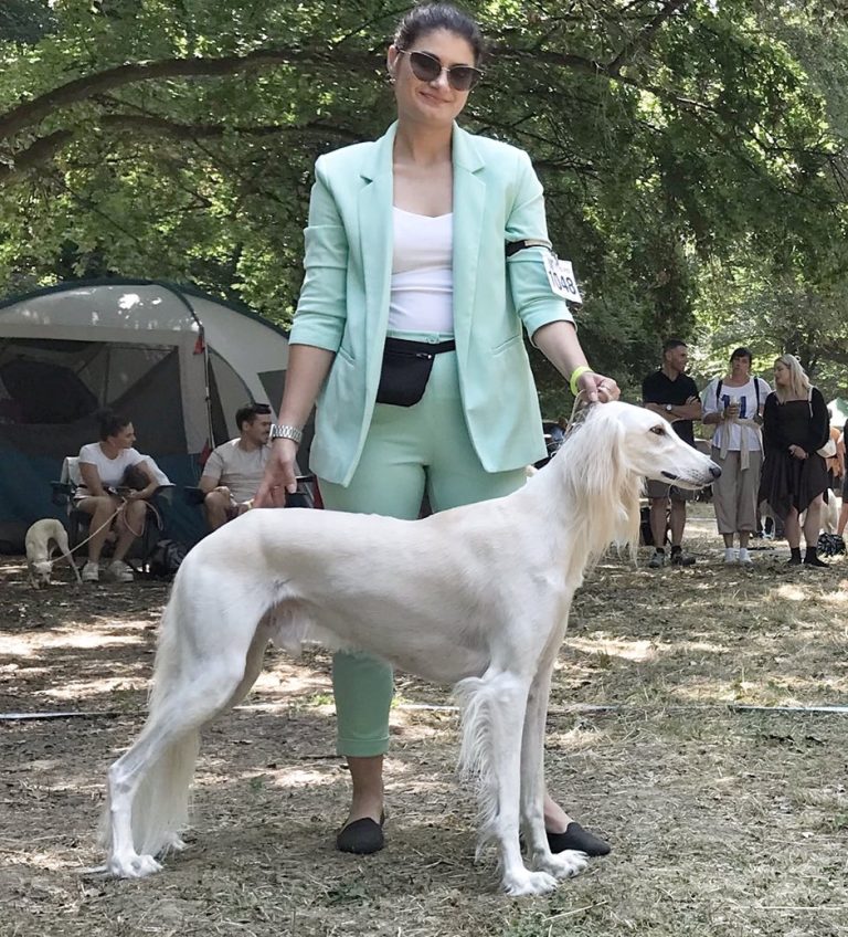 Dogfestival SK (Vel’ká Ida)