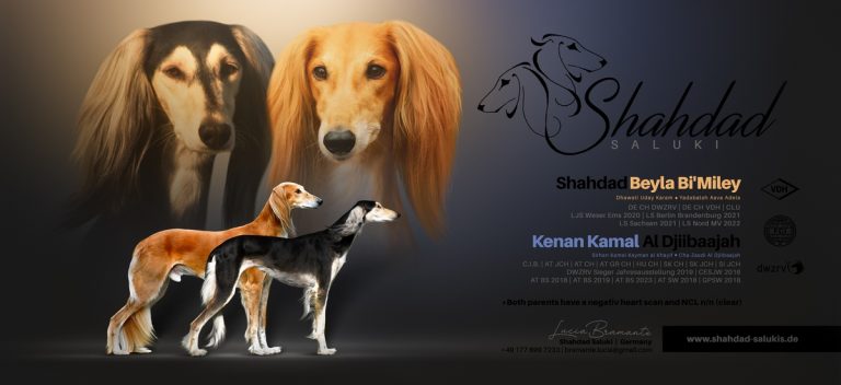 Wir erwarten Welpen!