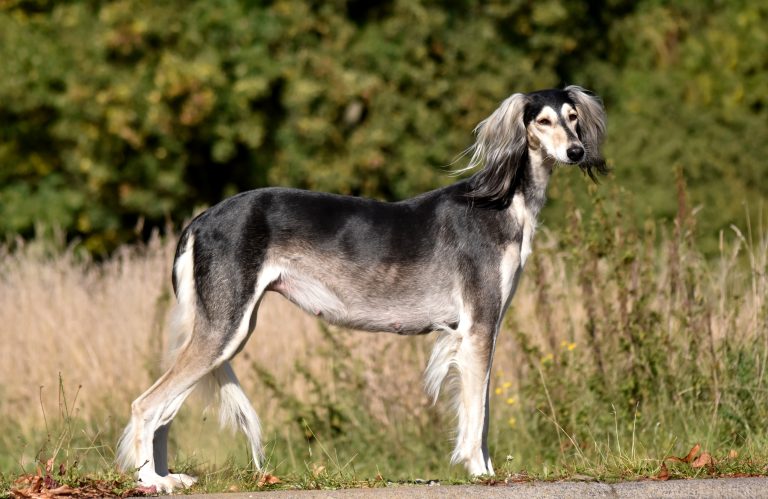 Almost 2 weeks to go…