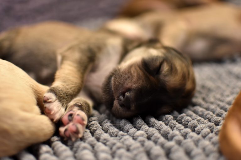 Buntes aus der Wurfkiste!