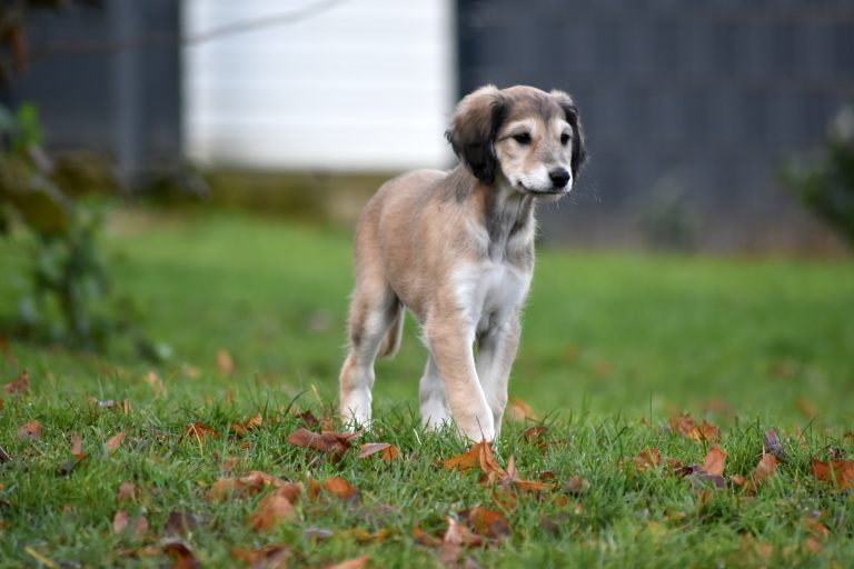 Die Zeit verfliegt…